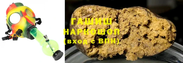 индика Белокуриха