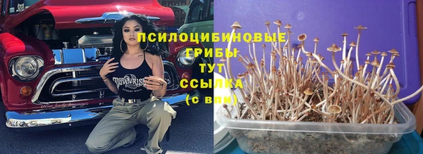 шишки Беломорск