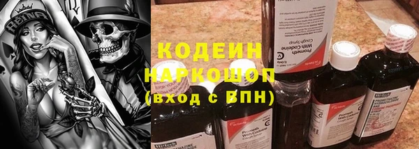 индика Белокуриха