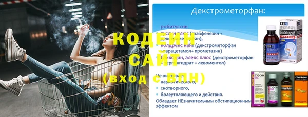 индика Белокуриха