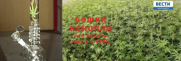 шишки Беломорск