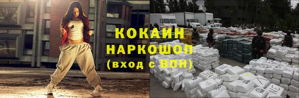 индика Белокуриха