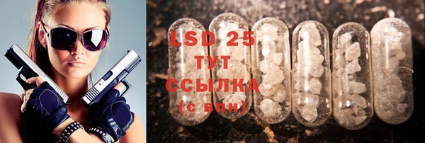 индика Белокуриха