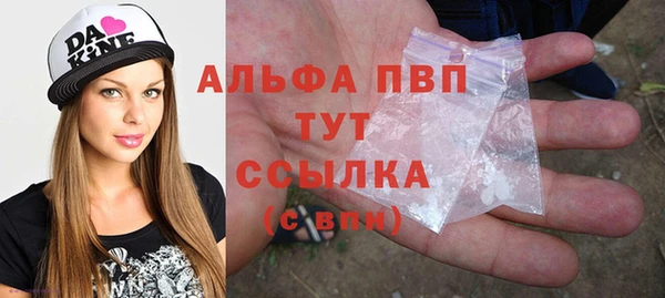 индика Белокуриха