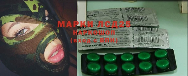 шишки Беломорск