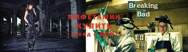 индика Белокуриха