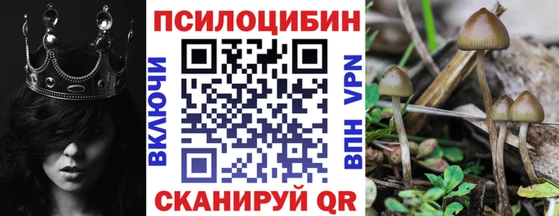 Псилоцибиновые грибы Magic Shrooms  нарко площадка состав  Тырныауз 